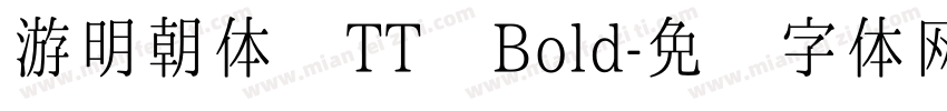 游明朝体 TT Bold字体转换